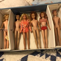 Barbie Doll Collection With Cases!