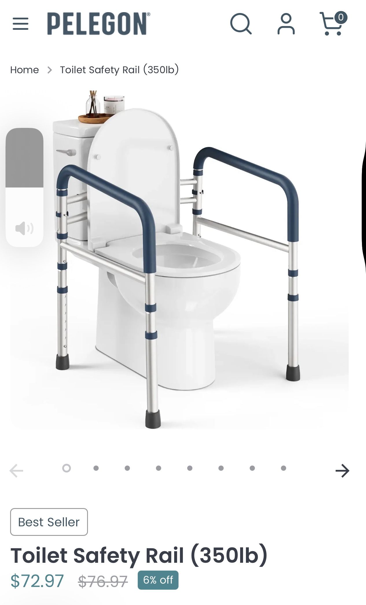 Toilet Safety Rail (350lb)