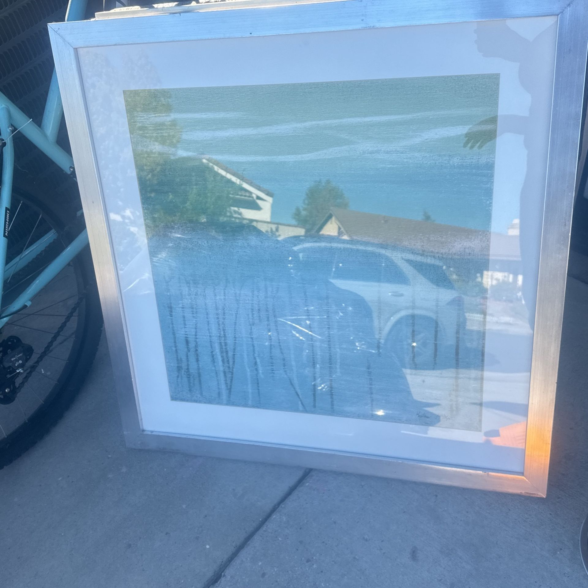 Z Galerie Picture Great Condition
