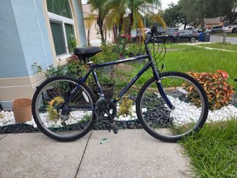 🚵 Roadmaster Mountain Climber Sport – 19" Frame – 26" Wheels – $50