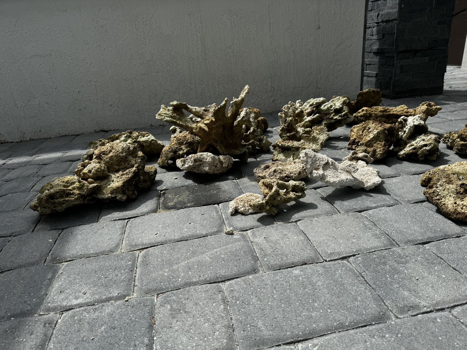 Real Haitian Aquarium Reef Rock “dry”