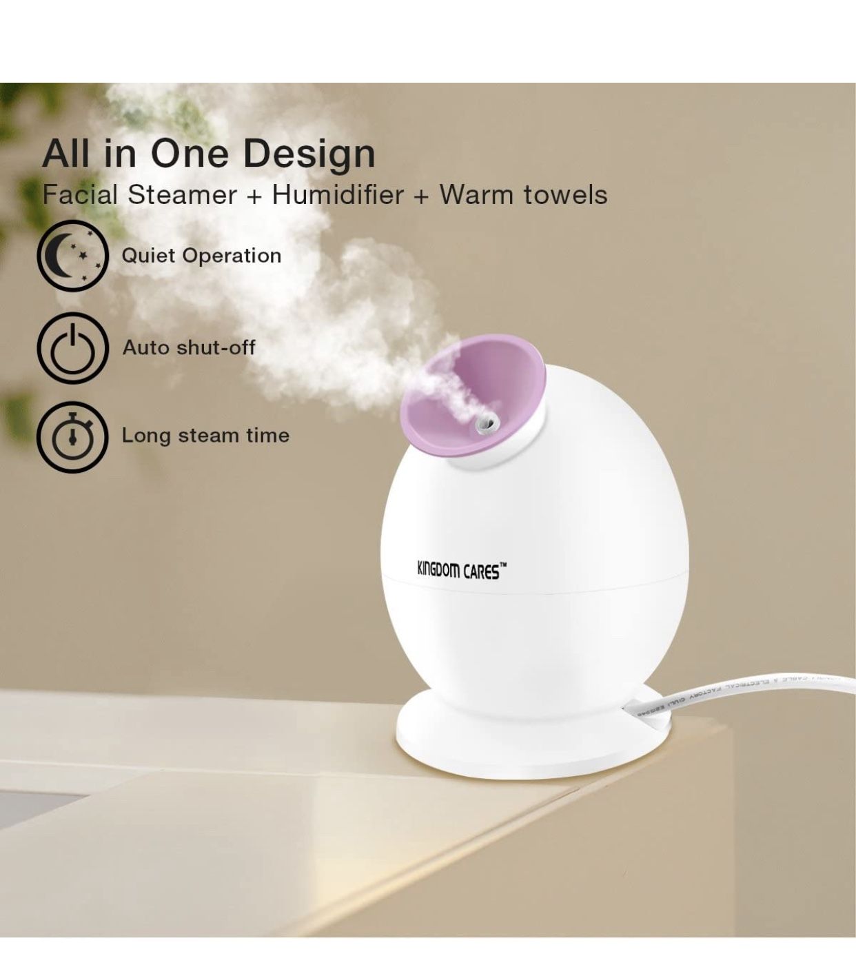 Facial Steamer