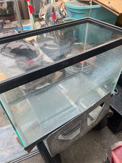 Fish tank