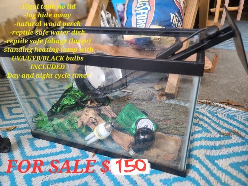 10 gallon reptile cage No Lid 
