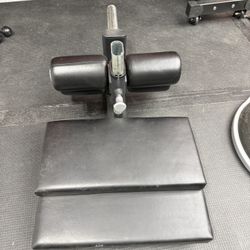 Sissy Squat / GHD Nordic Unit 