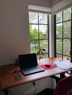 Beautiful Adjustable Standing Desk / Table