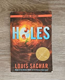 Holes book