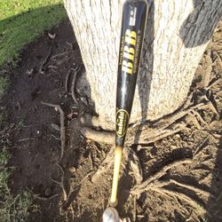 Baseball BAT "NICE BARREL " BBCORE WOOD 30 INCH BA