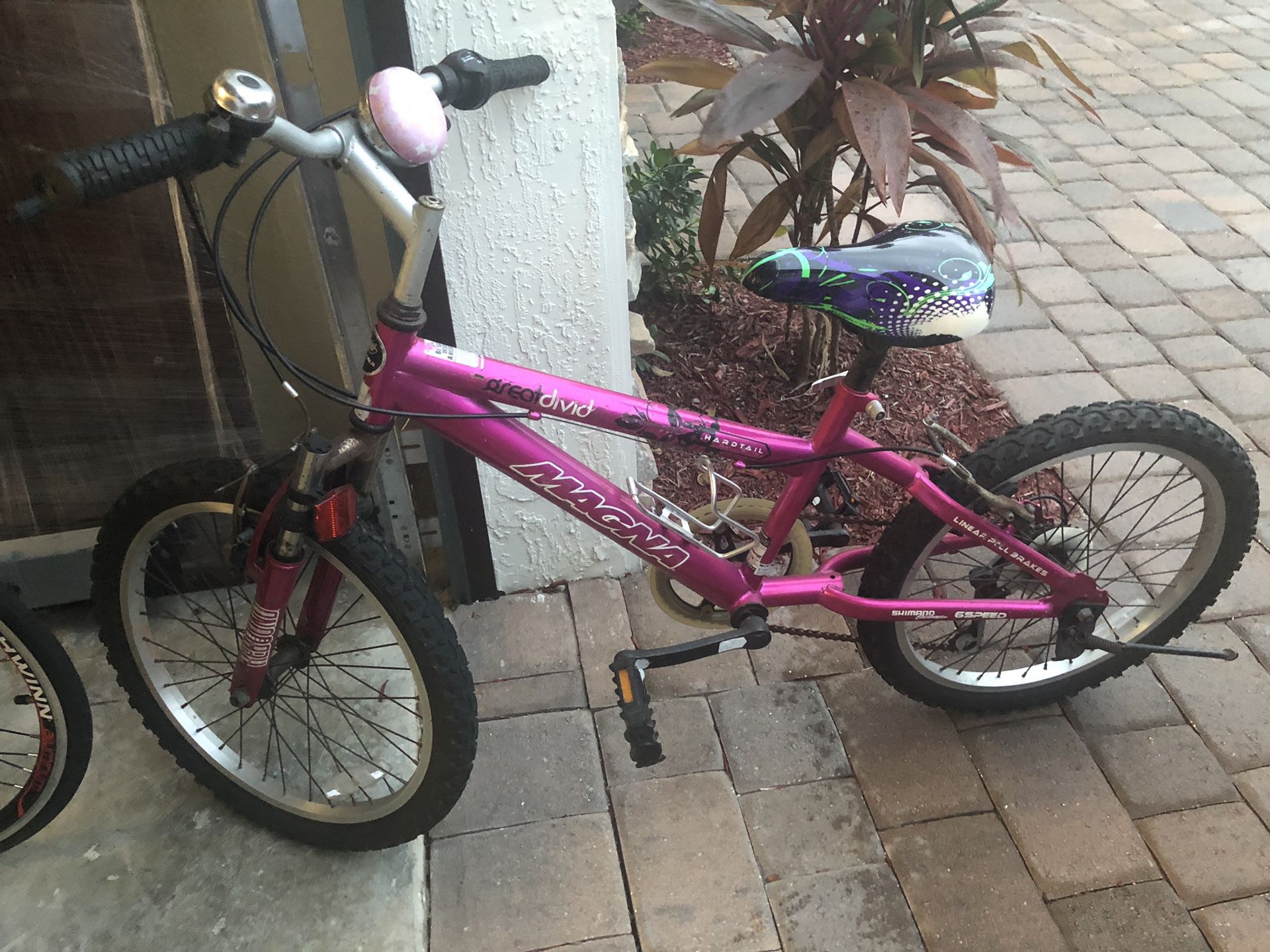 Girls Pink Magna Bike