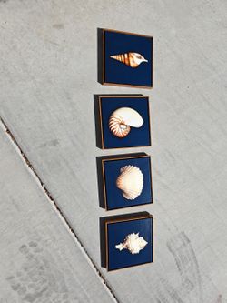 Set of 4 Seashell Wall Art Panels