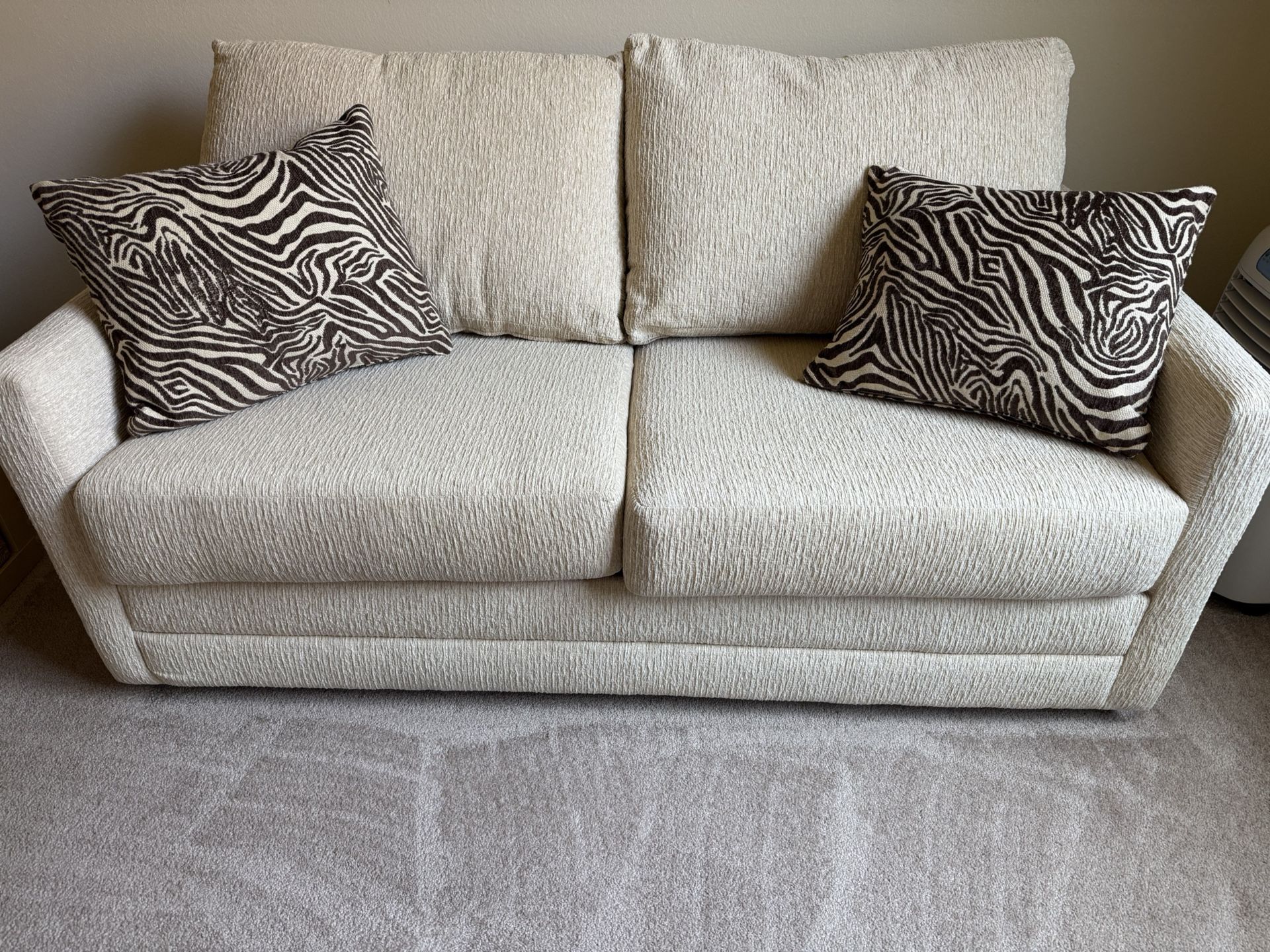 Sleeper Sofa Bed