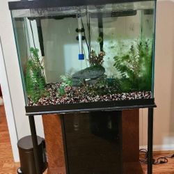 Fish Tank