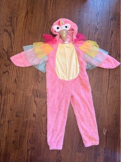 Costume 2T - 3T