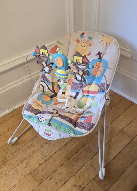 Baby Bouncer