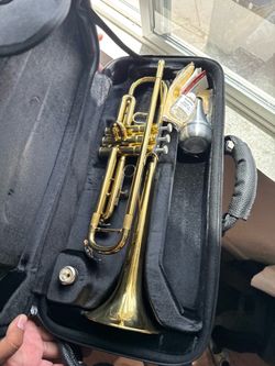 Beginner student trumpet