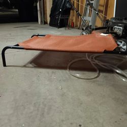 Orthopedic raised dog bed