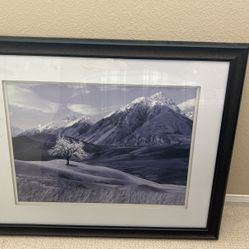 Decorative Photo