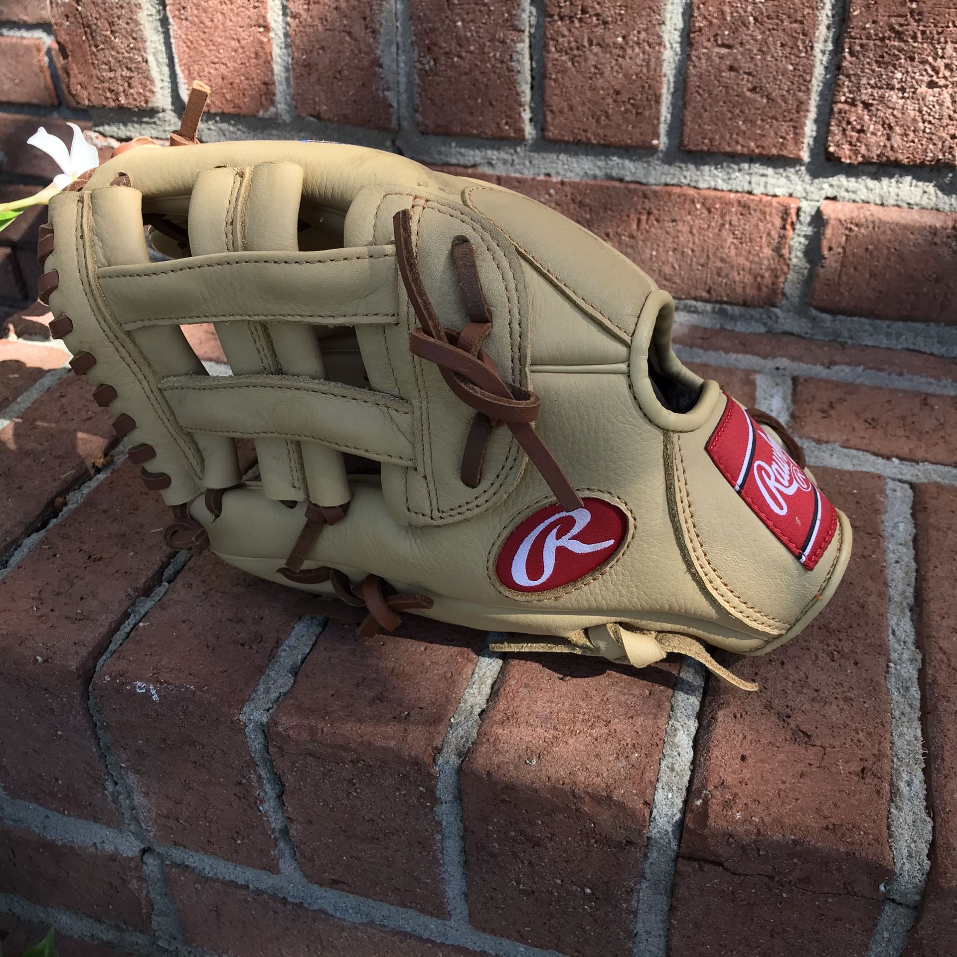 Rawlings RH Select Pro Lite 11.5 in Baseball Glove