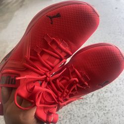 Puma Shoes