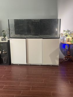 Red Sea 525xl Salt Water Fish Tank