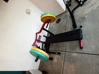 Weight Bench with Everlast Bumper Plates