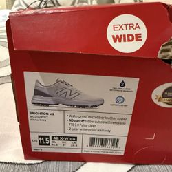 Brand New Nike golf shoes