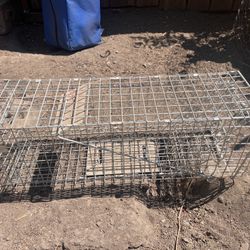 Cage/trap