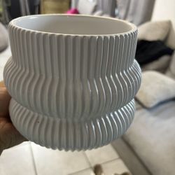 Plant Vase