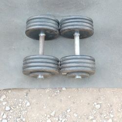 Dumbbells 2x90lbs
