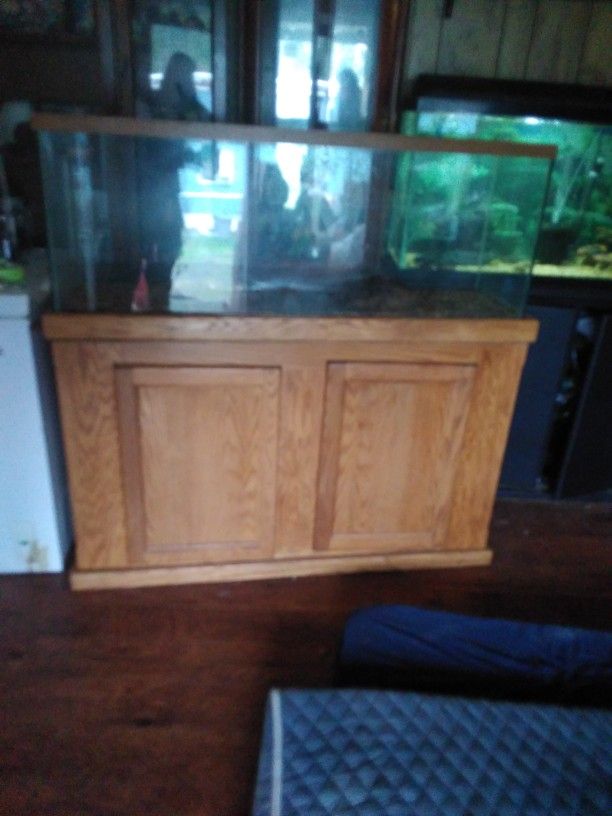 55 Gal Turtle Tank With Stand No Light Or Hood