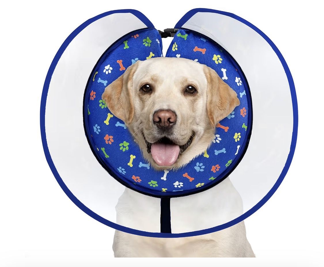 New Size XL Dog Cone.