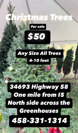 $50 Christmas Trees cut fresh a local family farm, ready to go $50 any size 4-9 feet