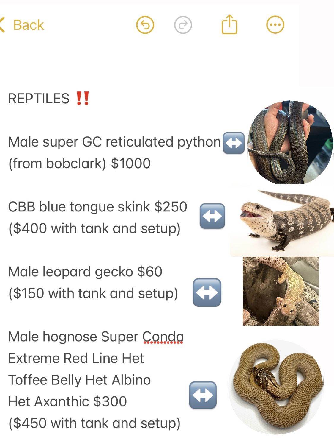 Reptiles Enclosure Habitats