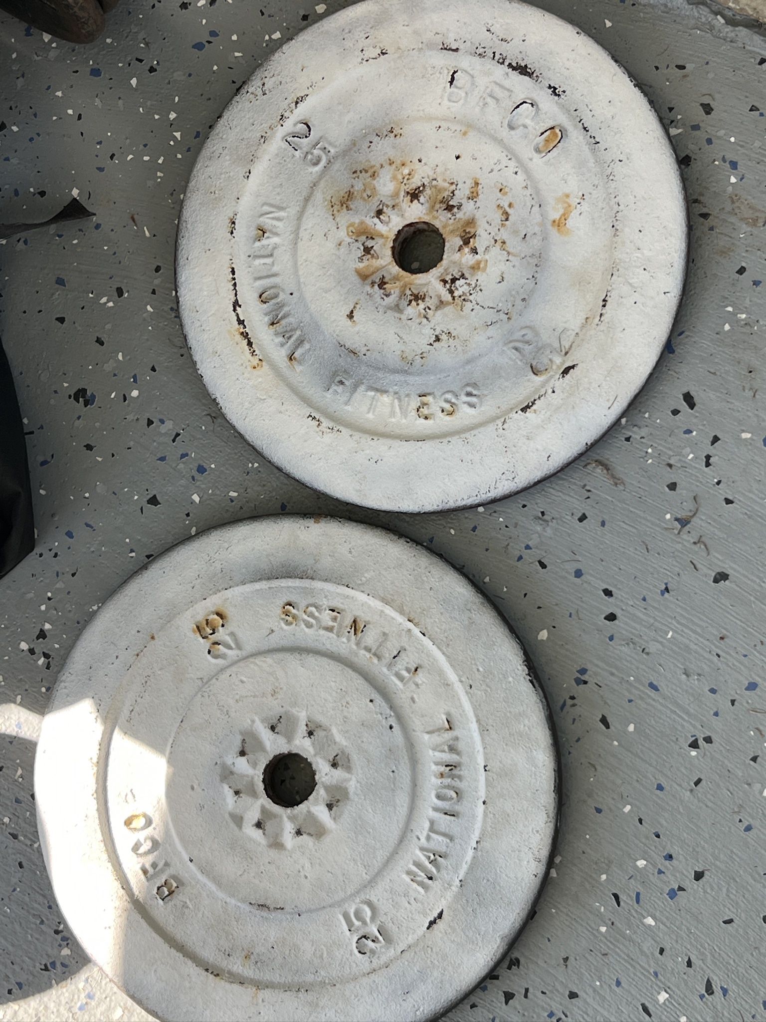 2 25 POUND WEIGHTS