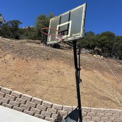 Free basketball board
