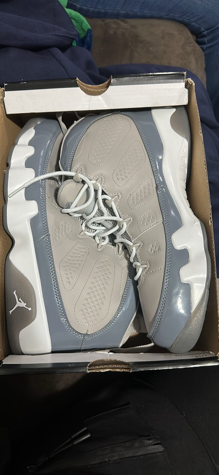 Brand new Jordan Cool Grey 9s