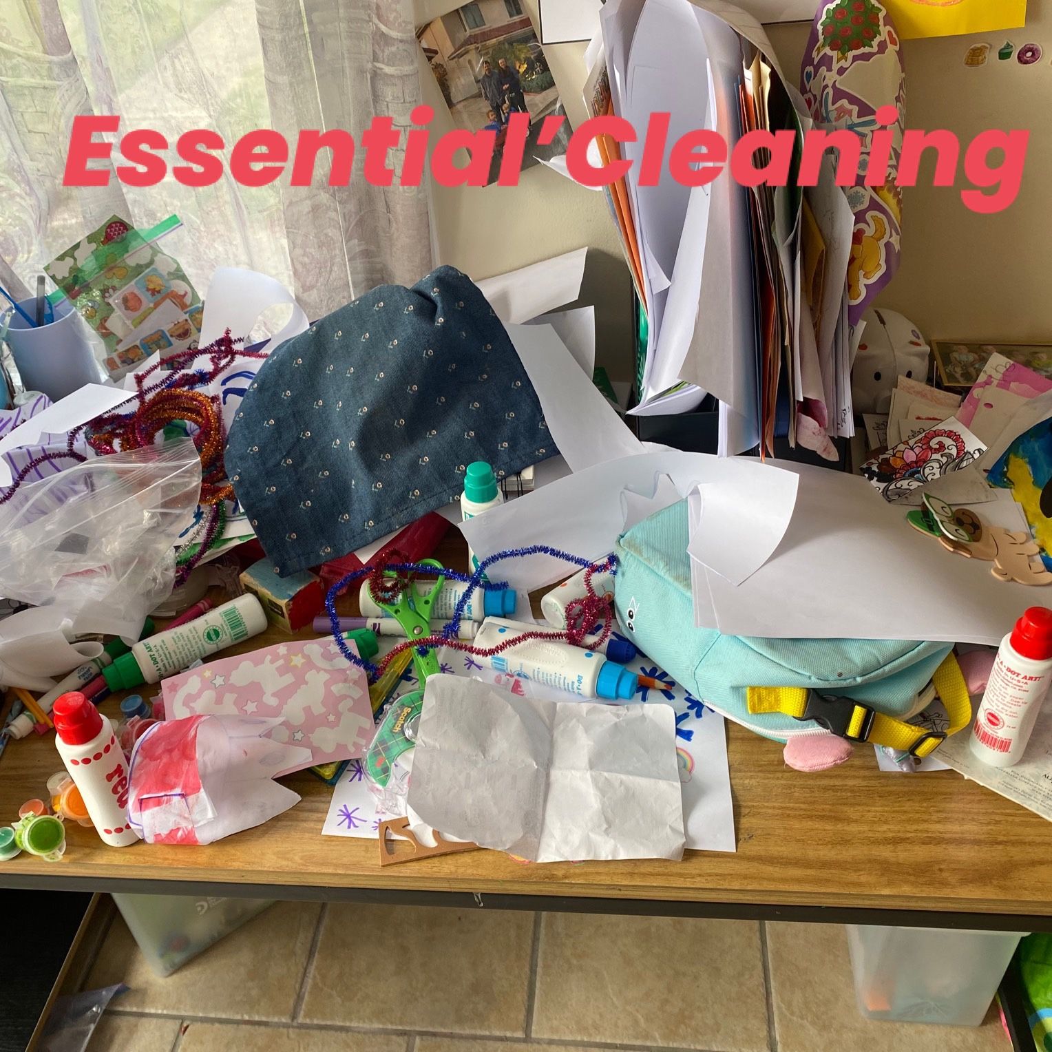 MSs Cleaning Services