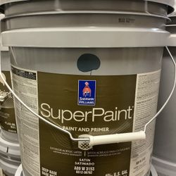Exterior Super Paint + Primer (Bunglehouse Blue)