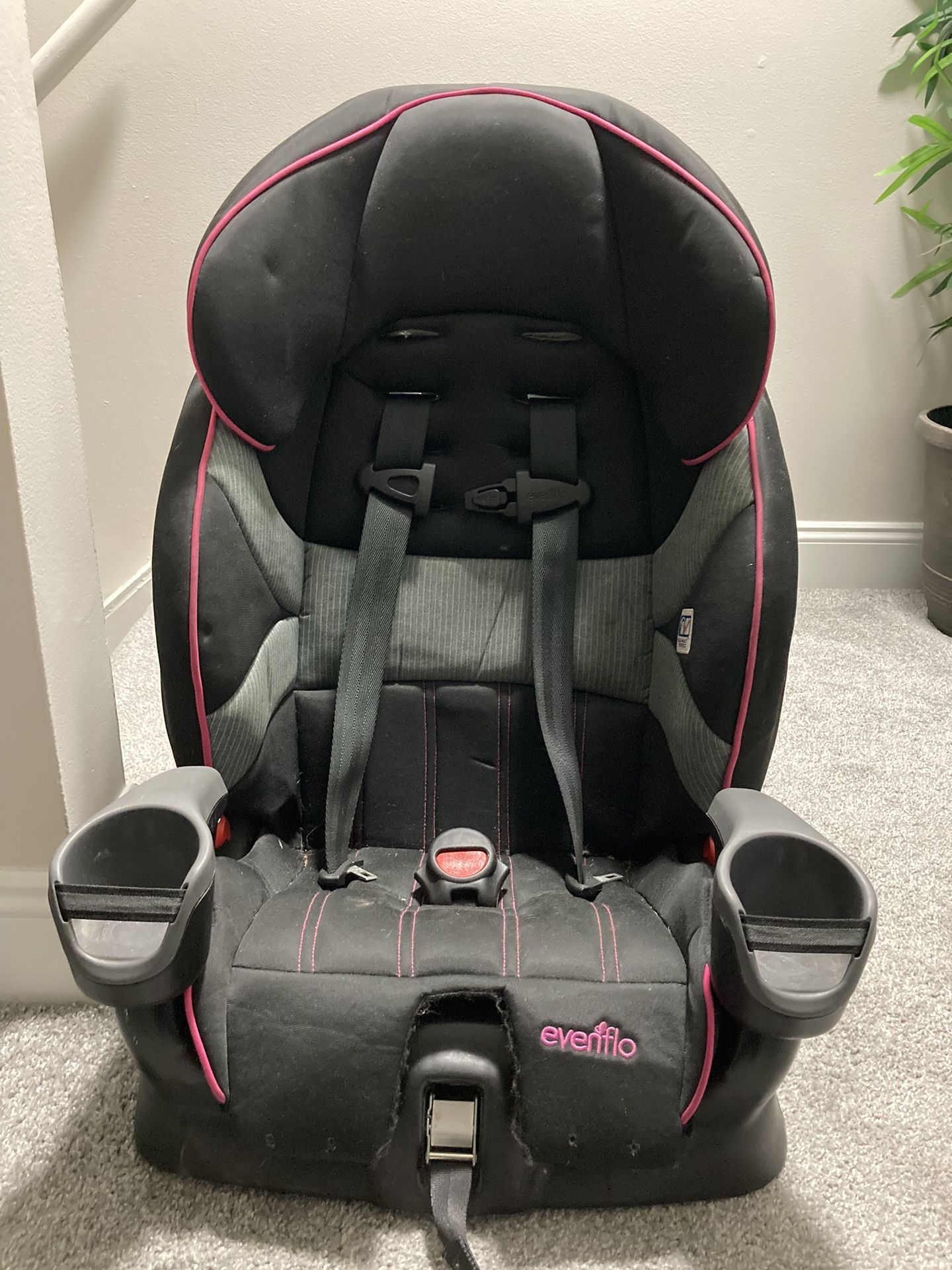 Evenflo Booster Seat