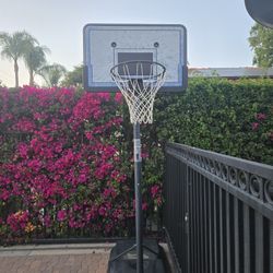 Lifetime Basketball Hoop
