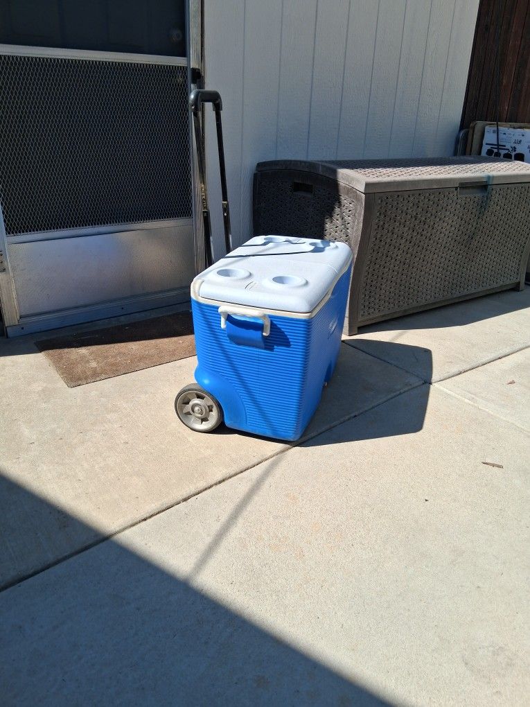 Large cooler