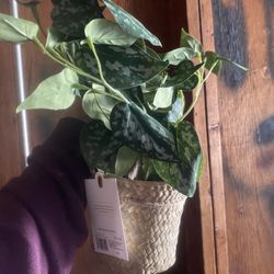Hanging Artificial Plant