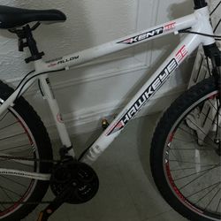 Kent hawkeye mountain bike 29 sale