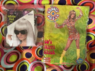 Groovy 1960s Chick Costume