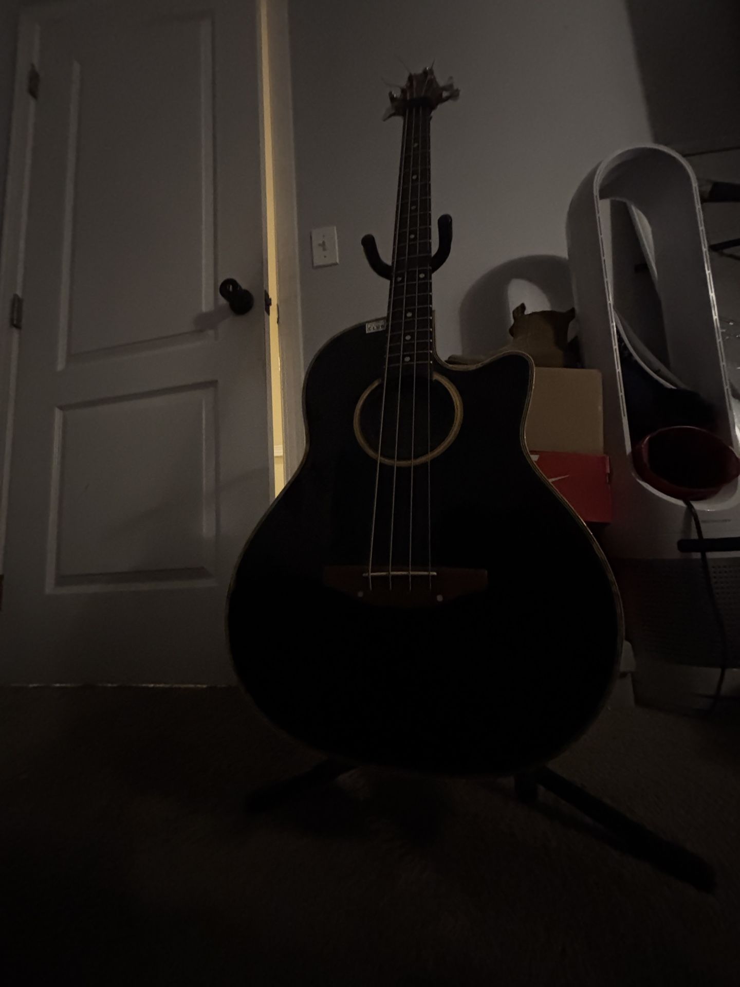 Bajoloche/acoustic 4 string bass