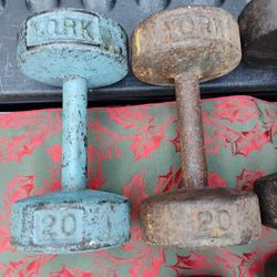 PAIR  OF  20  POUND YORK  DUMBBELLS  (different paint color) 