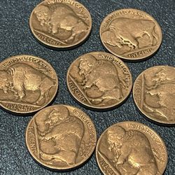 Buffalo Nickels 
