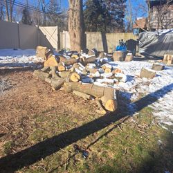 Free Firewood (Maple)