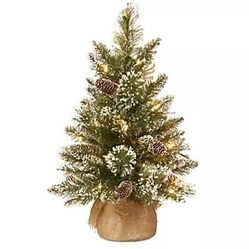 National Tree Company Pre-lit Artificial 2' Christmas Snowy Fir Tree