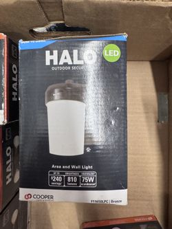 Halo LED Outdoor Security Area and Wall Light